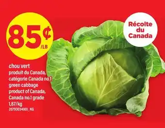 Maxi CHOU VERT offer