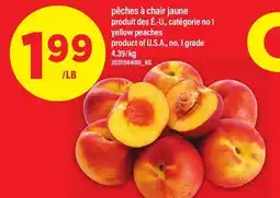 Maxi PÊCHES À CHAIR JAUNE │ YELLOW PEACHES offer