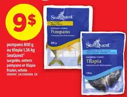 Maxi POMPANO 800 G OU TILAPIA 1,36 KG SEAQUEST | POMPANO OR TILAPIA FROZEN, WHOLE offer