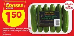 Maxi MINI CONCOMBRES DÉLICES DU MARCHÉ, 6 un offer