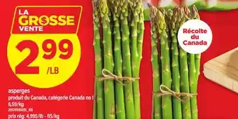 Maxi ASPERGES offer