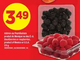 Maxi MÛRES OU FRAMBOISES | BLACKBERRIES OR RASPBERRIES offer