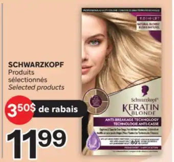 Brunet SCHWARZKOPF Produits sélectionnés offer