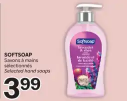 Brunet SOFTSOAP Savons à mains sélectionnés offer
