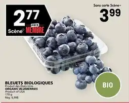 Rachelle-Bery Grocery ORGANIC BLUEBERRIES offer