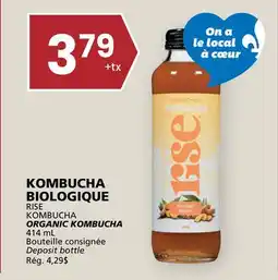 Rachelle-Bery Grocery RISE KOMBUCHA ORGANIC KOMBUCHA offer