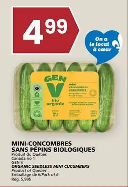 Rachelle-Bery Grocery GEN V ORGANIC SEEDLESS MINI CUCUMBERS offer