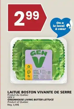 Rachelle-Bery Grocery GEN V GREENHOUSE LIVING BUTTER LETTUCE offer