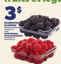 Provigo FRAMBOISES OU MÛRES, 170 G | OR BLACKBERRIES offer