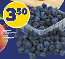 Provigo BLEUETS, 340 G | BLUEBERRIES offer