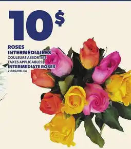 Provigo ROSES INTERMÉDIAIRES | INTERMEDIATE ROSES offer