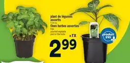 Super C PLANT DE LÉGUMES ASSORTIS | FINES HERBES ASSORTIES offer
