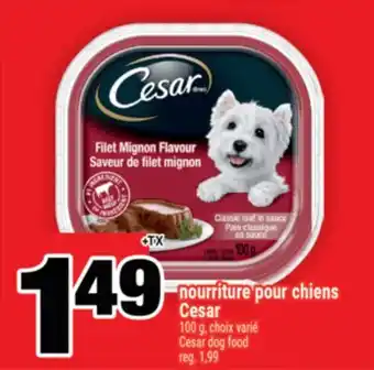 Super C NOURRITURE POUR CHIENS CESAR | CESAR DOG FOOD offer