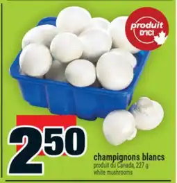Super C champignons blancs | white mushrooms offer