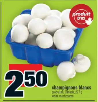 Super C champignons blancs | white mushrooms offer