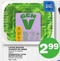 Marches Tradition GEN V GREENHOUSE LIVING BUTTER LETTUCE offer