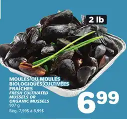 Marches Tradition FRESH CULTIVATED MUSSELS OR ORGANIC MUSSELS offer