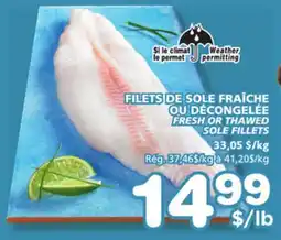 Marches Tradition FRESH OR THAWED SOLE FILLETS offer
