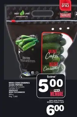 Marches Tradition SEEDLESS MINI CUCUMBERS offer