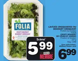 Marches Tradition FOLIA CRISPY BOUQUET OR CRUNCHY GREENS offer