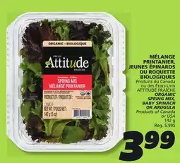 IGA ATTITUDE FRAÎCHE ORGANIC SPRING MIX, BABY SPINACH OR ARUGULA offer