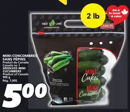 IGA SEEDLESS MINI CUCUMBERS offer