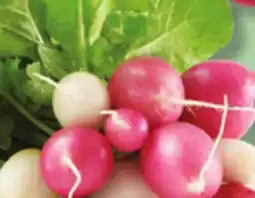 IGA RED OR MULTICOLOURED LEAF RADISHES offer