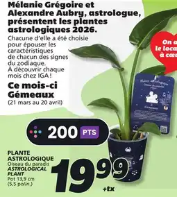 IGA ASTROLOGICAL PLANT offer
