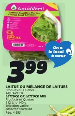 IGA AQUAVERTI LETTUCE OR LETTUCE MIX offer