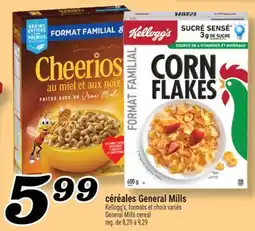 Marché Richelieu CÉRÉALES GENERAL MILLS | GENERAL MILLS CEREAL offer