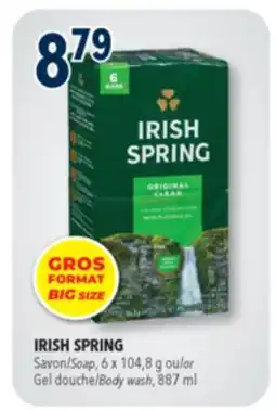 Familiprix IRISH SPRING, Soap, 6 x 104,8 g or Body wash, 887 ml offer