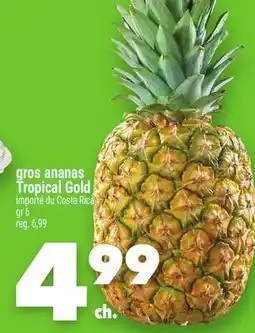 Marche Ami gros ananas TropicalGold offer