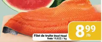 Pasquier Filet de truite Steel Head offer