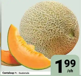 Pasquier Cantaloup offer