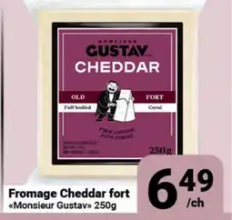Pasquier Fromage Cheddar fort Monsieur Gustav offer