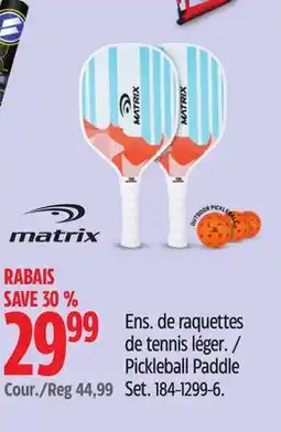 Canadian Tire Pickleball Paddle Set offer