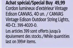 Canadian Tire CANVAS Vintage Edison Outdoor String Lights, 40-Ct offer