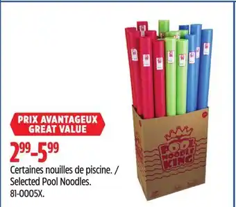 Canadian Tire Selected Pool Noodles offer
