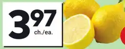 Giant Tiger 2 lb lemons offer