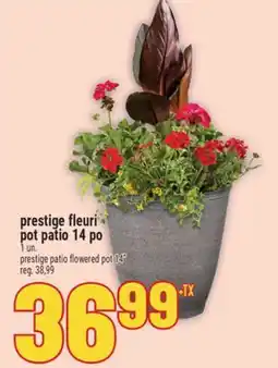 Marché Adonis prestige fleuri pot patio 14 po | prestige patio flowered pot 14 offer