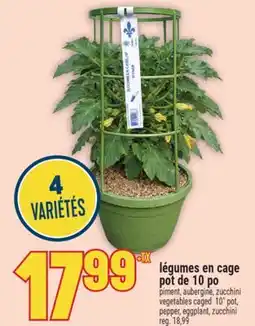 Marché Adonis légumes en cage pot de 10 po | vegetables caged 10 pot, pepper, eggplant, zucchini offer