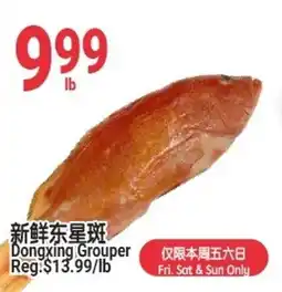 SunFood Supermarket Dongxing Grouper offer