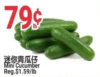 SunFood Supermarket Mini Cucumber offer