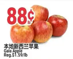 SunFood Supermarket Gala Apple offer