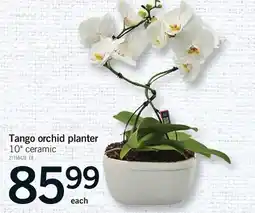 Fortinos TANGO ORCHID PLANTER offer