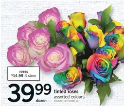Fortinos TINTED ROSES, dozen offer