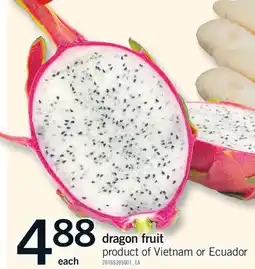 Fortinos DRAGON FRUIT offer