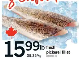 Fortinos FRESH PICKEREL FILLET offer