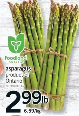 Fortinos ASPARAGUS offer