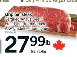 Fortinos STRIPLOIN STEAK offer